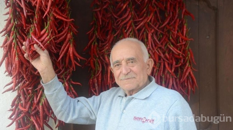 Tam 155 yıldır aynı acı.. Bu yıl 150 ton üretilecek