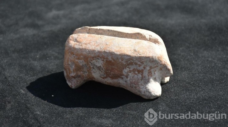 Ulucak Höyüğü'nde 7 bin 700 yıllık marangoz aleti bulundu
