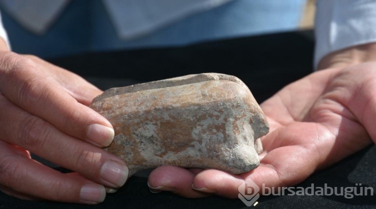 Ulucak Höyüğü'nde 7 bin 700 yıllık marangoz aleti bulundu
