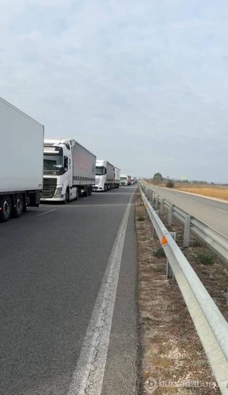 Sınırda 20 gündür süren TIR kuyruğu çilesi

