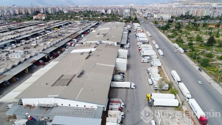 Sınırda 20 gündür süren TIR kuyruğu çilesi
