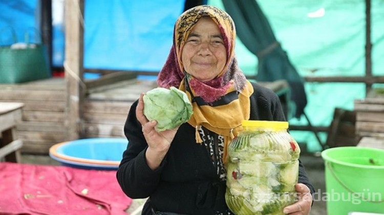 Yöre halkına ciddi gelir sağlıyor! Kilosu 40 TL