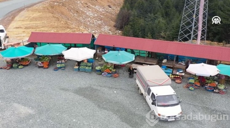 Yöre halkına ciddi gelir sağlıyor! Kilosu 40 TL