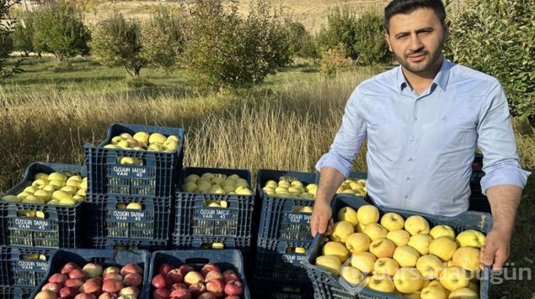 İran'dan getirip diktiler, şimdi de para para demiyorlar!