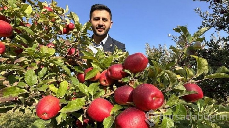 İran'dan getirip diktiler, şimdi de para para demiyorlar!