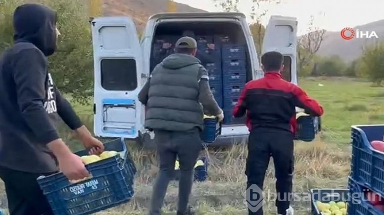 İran'dan getirip diktiler, şimdi de para para demiyorlar!