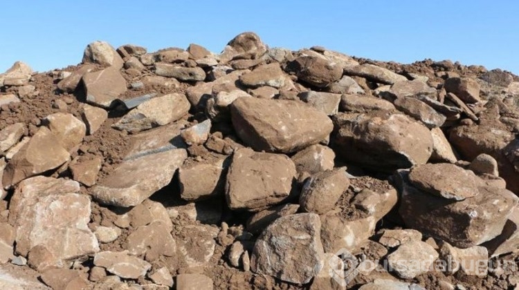 Bin dönümlük atıl arazi ekmek kapısı olacak!