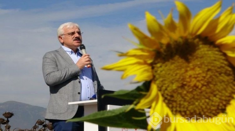 Marmara'da son 3 yılda üretimi 2 katına çıktı!
