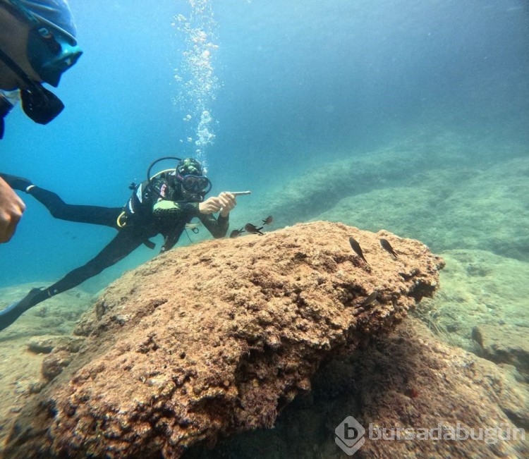 Turizm cenneti Antalya'nın su altı güzellikleri!