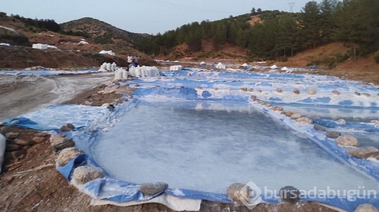 Dağdan akıyor, 3 ayda 150 bin lira kazandırıyor