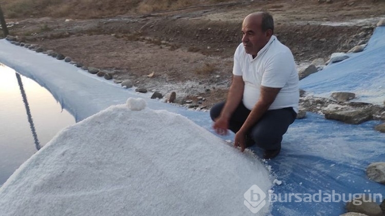 Dağdan akıyor, 3 ayda 150 bin lira kazandırıyor