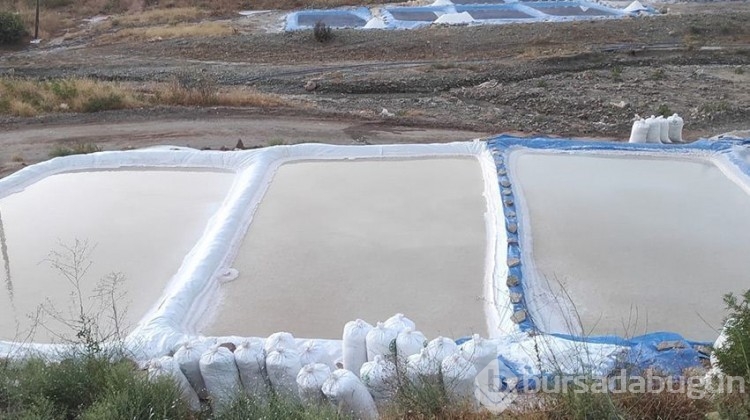 Dağdan akıyor, 3 ayda 150 bin lira kazandırıyor