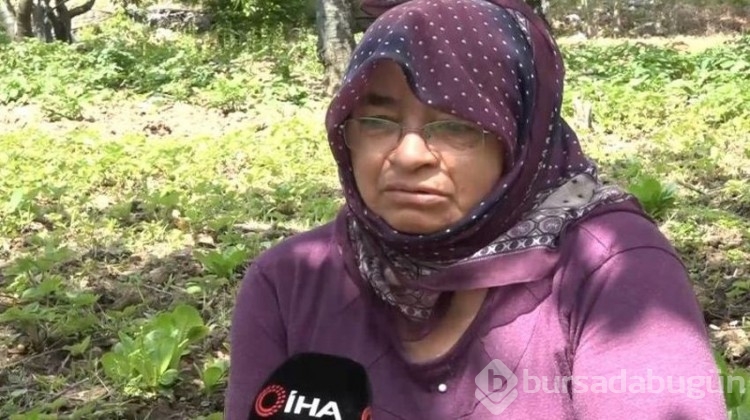Çiftçilerin emekleri hiç oldu: 13 TL birden düştü, çürümelerini izliyorlar...