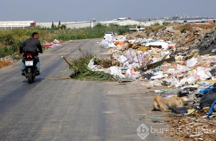 Adana'da havalimanının yanı çöplüğe döndü
