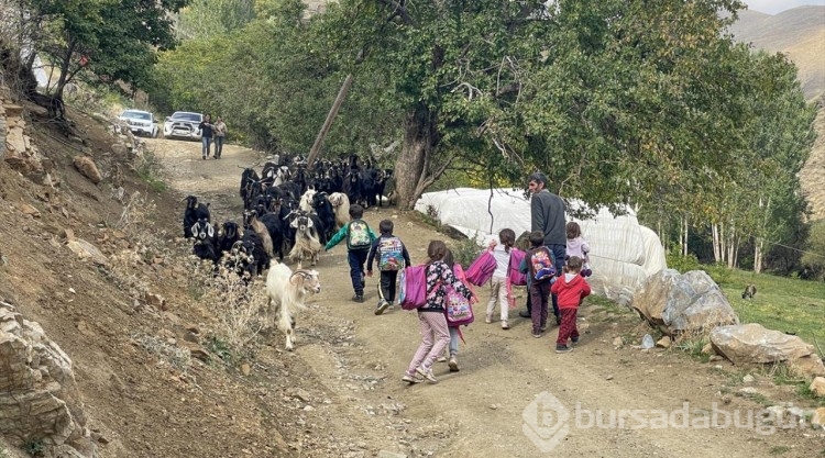 Cihan öğretmen, öğrencisi Zilan için yürüyerek gittiği köyde yeniden göreve başladı
