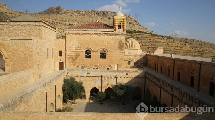 Tarihi manastır bahçesinde zeytin hasadı

