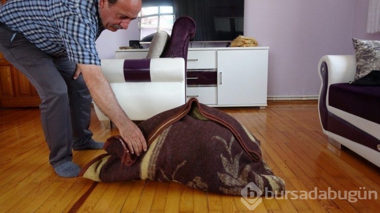 Mantar toplarken buldu, milyoner ilan edilecek
