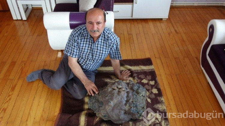 Mantar toplarken buldu, milyoner ilan edilecek