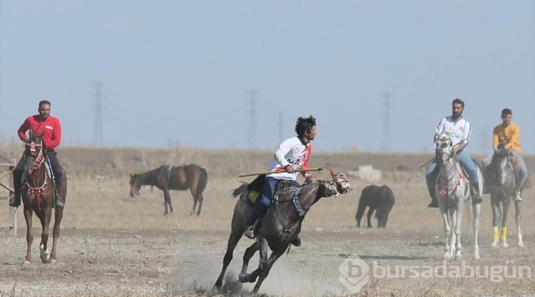 Kars'ta atlarla gösteri yapan ciritçiler yeni sezona hazırlanıyor

