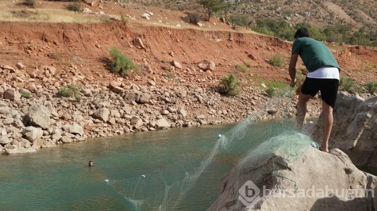 Türk bilim insanları, Siirt'te bu balığı arıyor!