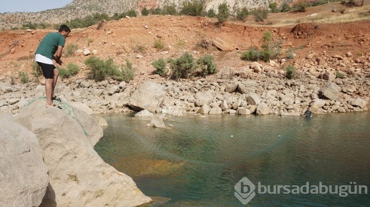 Türk bilim insanları, Siirt'te bu balığı arıyor!