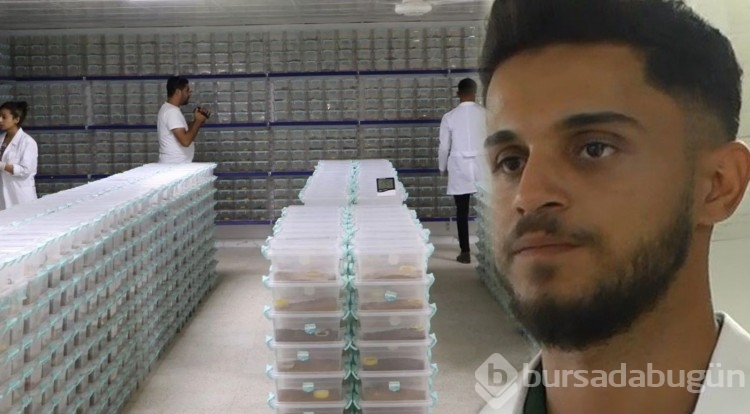 Babasının merakı zengin etti... Gramı küçük bir servet!