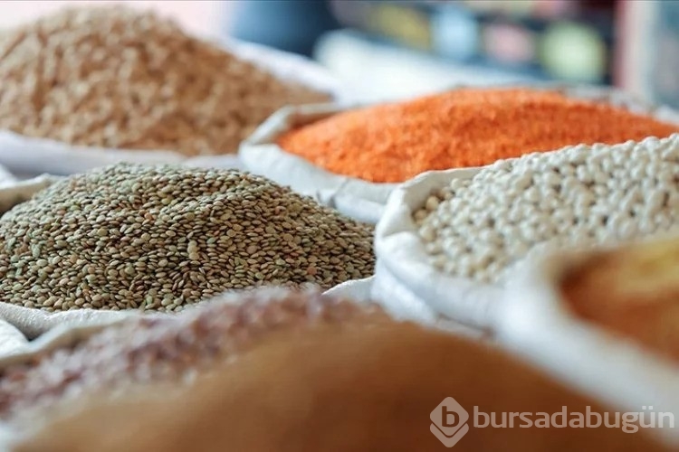 Güneydoğu'dan Yüzde 65'lik Makarna İhracatı
