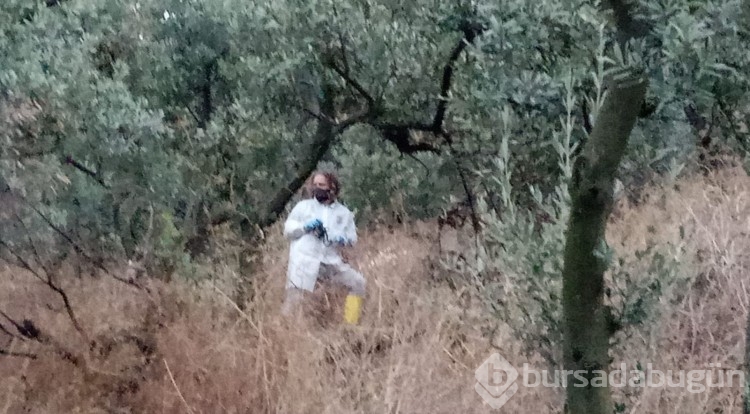 Cesedi çürümüş halde ağaca asılı bulunan Nevrigül Alan ilgili yeni detaylar