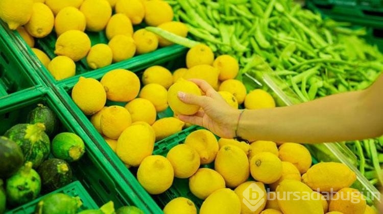 Saksıda limon yetiştirmenin yolu buymuş! Bir püf noktası var