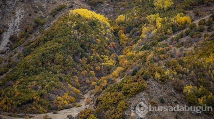 Kop Dağı'nda sonbahar
