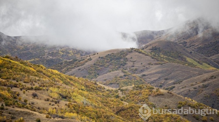 Kop Dağı'nda sonbahar
