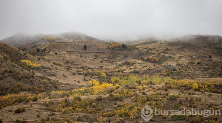 Kop Dağı'nda sonbahar
