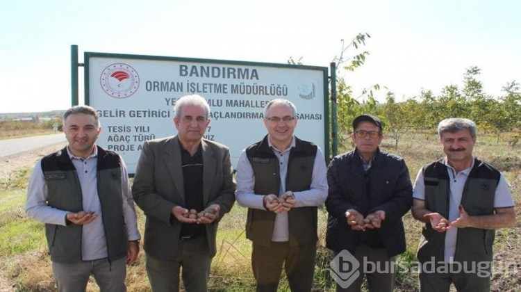 6 yıl önce 100 dönümde ekildi, ilçeye 16 milyon TL kazandırdı!