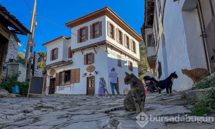 Dünyanın en iyisi seçilen bu köye büyük ödül! 