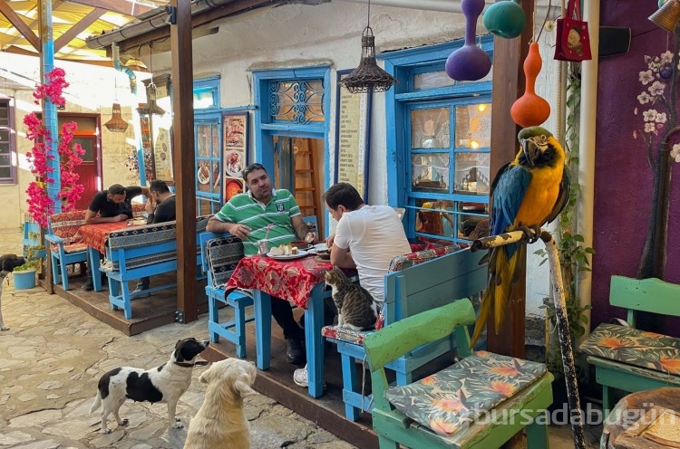 Dünyanın en iyisi seçilen bu köye büyük ödül! 