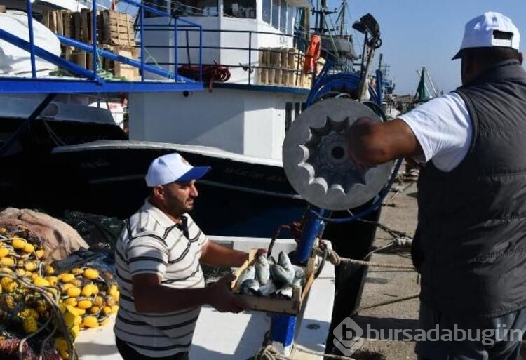 Kırklareli'de lüfer bolluğu; balıkçıların yüzü güldü