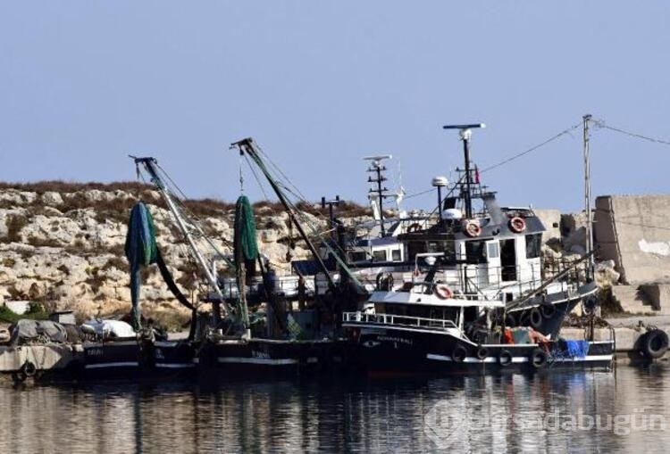 Kırklareli'de lüfer bolluğu; balıkçıların yüzü güldü