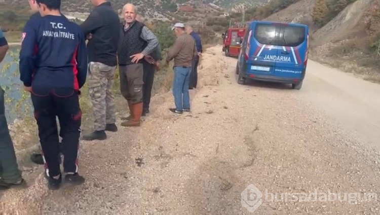 Arabaya giren eşek arısı kazaya neden oldu: 3 yaralı
