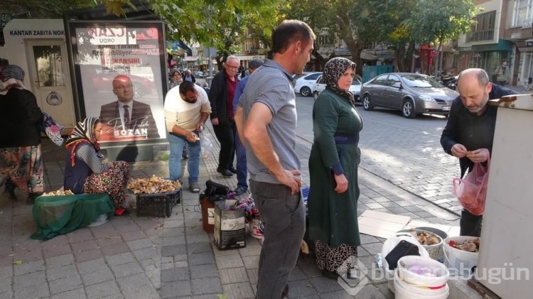 Kütahya'nın Tavşanlı ilçesinde mantar pazarı kuruldu!