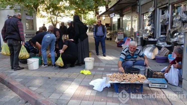 Kütahya'nın Tavşanlı ilçesinde mantar pazarı kuruldu!