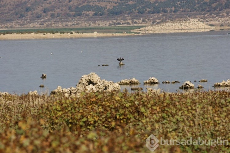 Sular çekildi, lav kalıntıları ortaya çıktı
