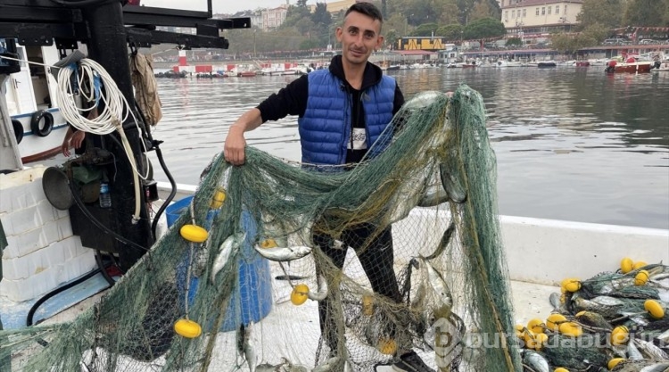 Marmara Denizi'nde Tekirdağ açıklarında lüfer bolluğu yaşanıyor
