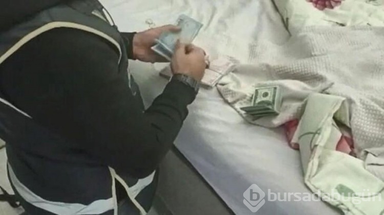Ünlü isimlere fon dolandırıcılığı