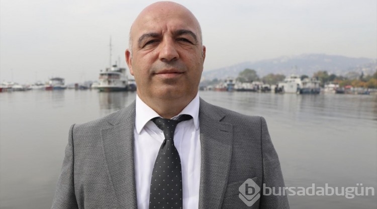 İzmit Körfezi'nde denizanası istilası
