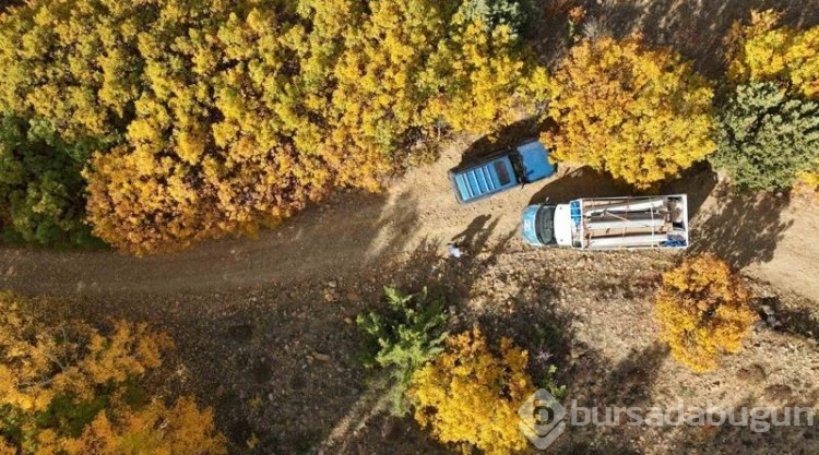 Hazan mevsimi geldi... Erzincan'da renk cümbüşü