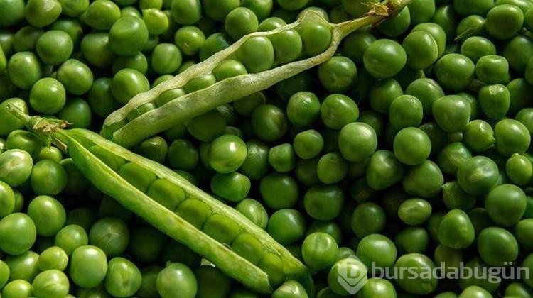 Tüketilmesi gereken protein bombası 5 sebze!