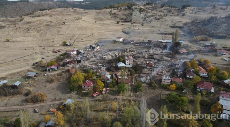 Kastamonu'da 47 köy evini etkileyen yangın söndürüldü
