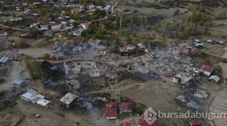 Kastamonu'da 47 köy evini etkileyen yangın söndürüldü
