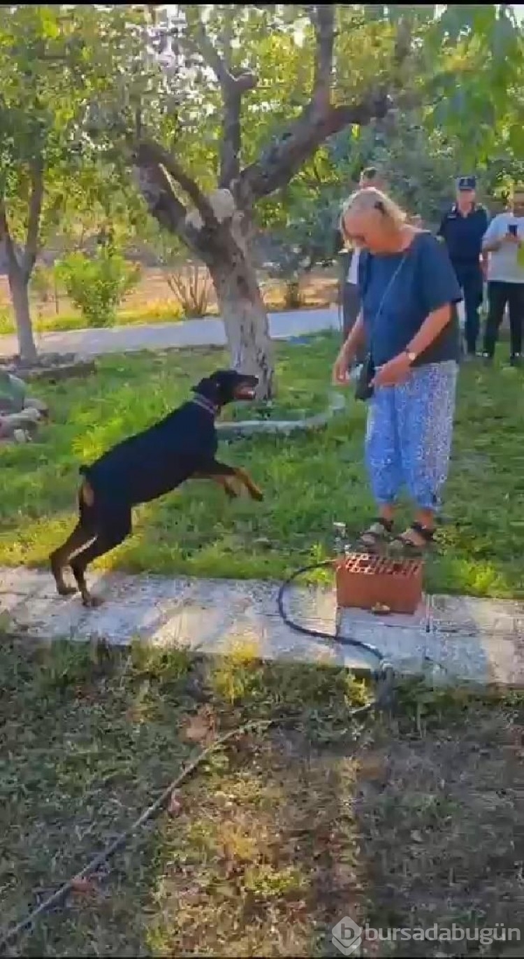 Korhan Berzeg'i arama çalışmalarında yeni karar!