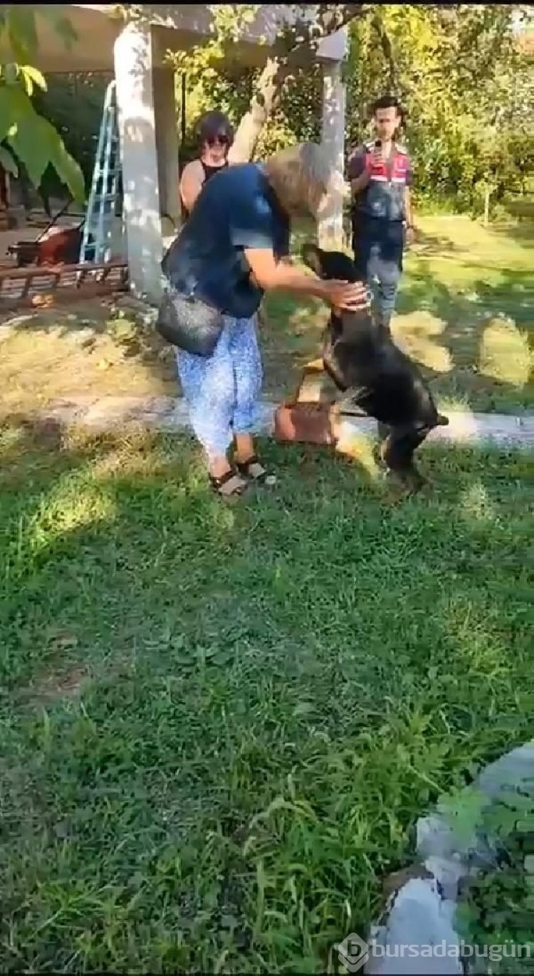 Korhan Berzeg'i arama çalışmalarında yeni karar!